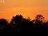 en smuk solnedgang - Lassen Foto