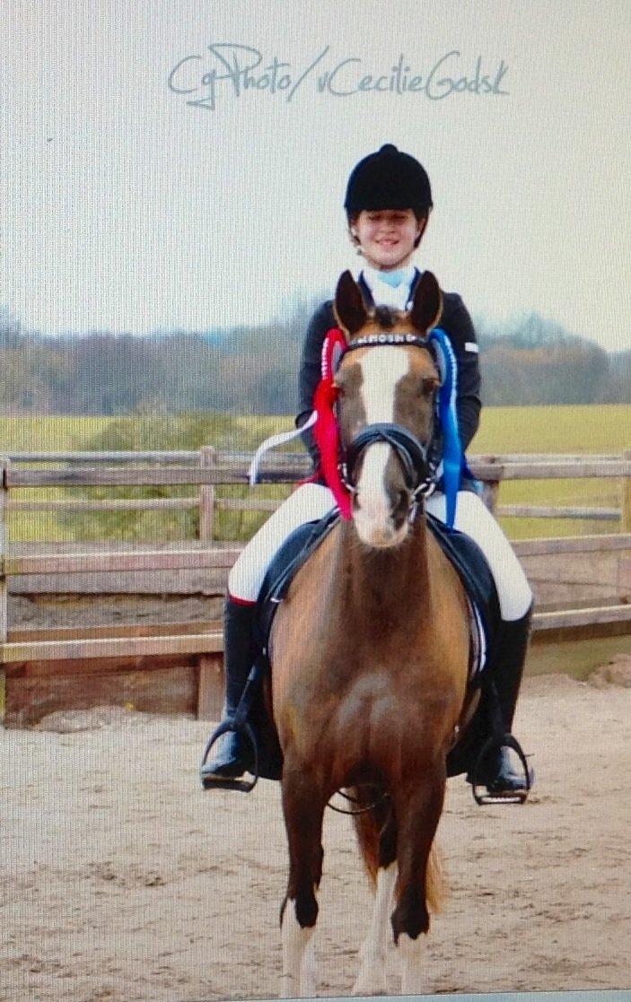 Glamsbjerg rideklub 14/4 2013 billede 5