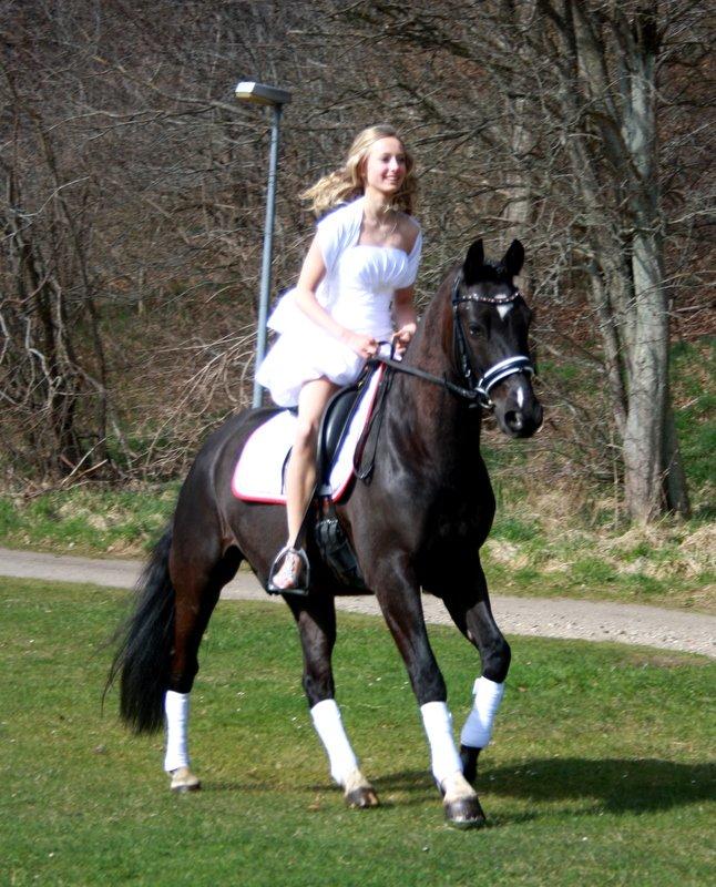 Konfi 28/04-13 - Konfi 28/4-13
Galop omkring søerne! <3 billede 1
