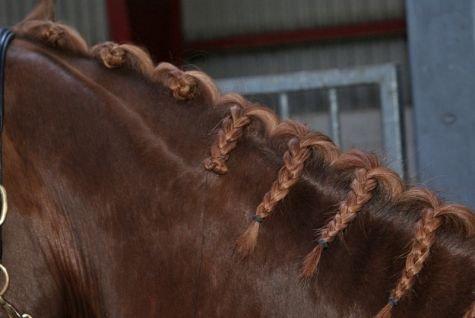 Lær at sy rosenknopper. - 2.
Nu er tråden fæstnet og fletningen klar til, at blive forvandlet til en rosenknop. billede 2