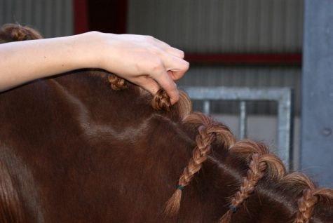Lær at sy rosenknopper. - 5.
Tag fat med den ene hånd rundt om rosenknoppen billede 5