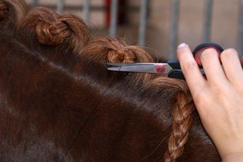 Lær at sy rosenknopper. - 8.
Når man har ramt elastikken et par gange, og man har fornemmelsen af en fast rosenknop, klippes tråden over tæt ved rosenknoppen. billede 8