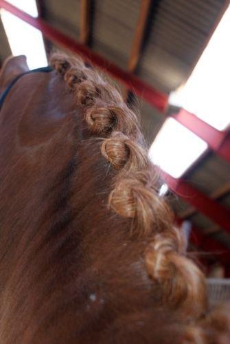 Lær at sy rosenknopper. - Resultatet! :-) - Husk øvelse gør mester! billede 10