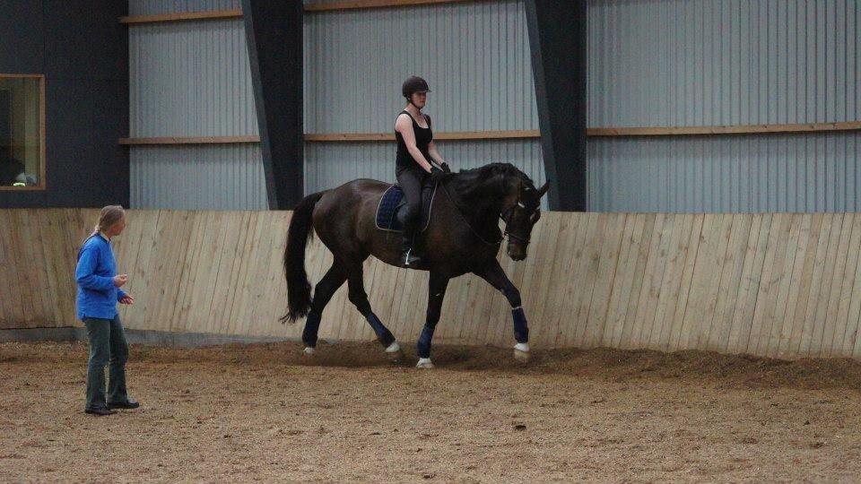 [NBP] - Dressurkursus ved Margit Ørum billede 2