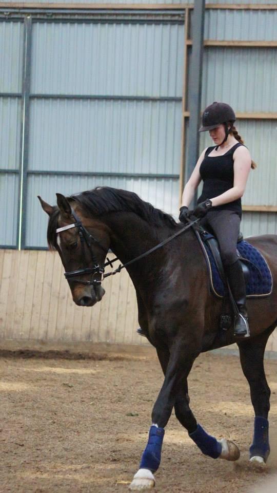 [NBP] - Dressurkursus ved Margit Ørum billede 3