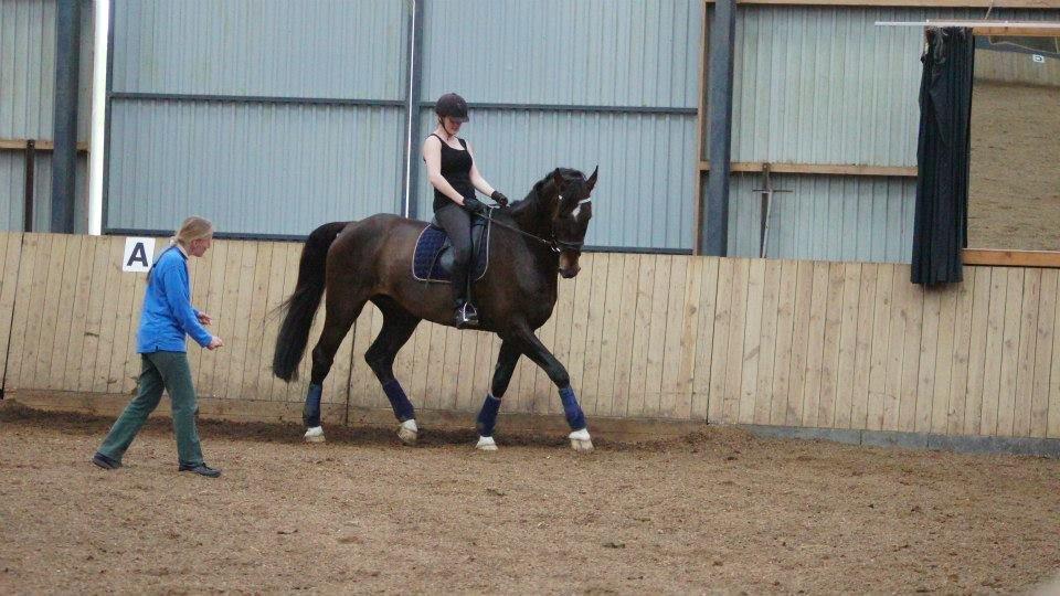 [NBP] - Dressurkursus ved Margit Ørum billede 4