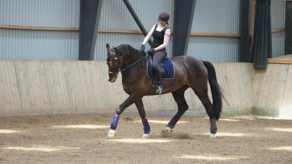 [NBP] - Dressurkursus ved Margit Ørum billede 5