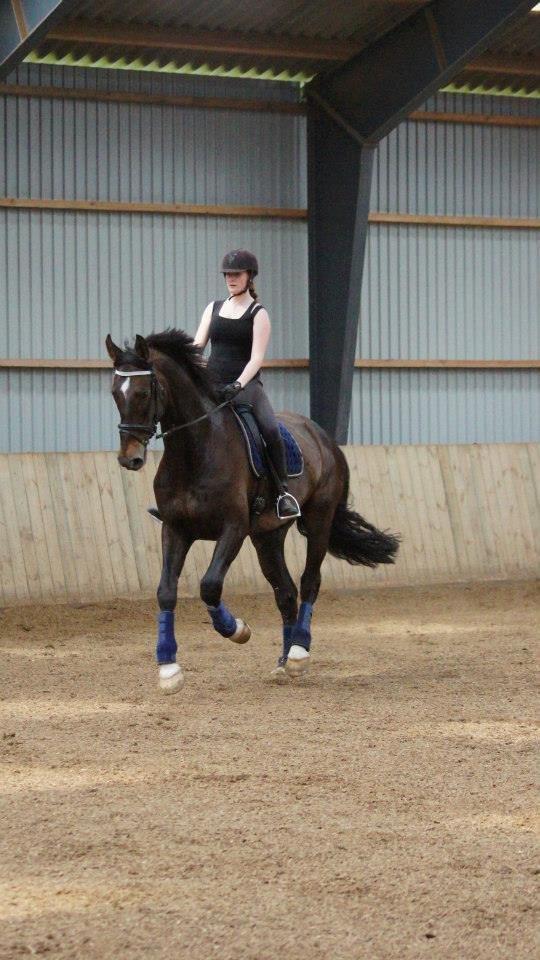 [NBP] - Dressurkursus ved Margit Ørum billede 6