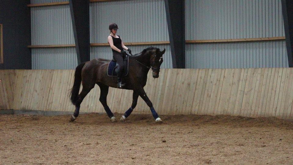 [NBP] - Dressurkursus ved Margit Ørum billede 7