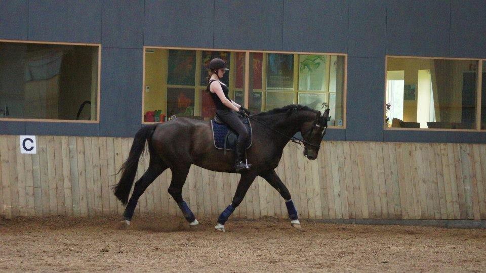 [NBP] - Dressurkursus ved Margit Ørum billede 8