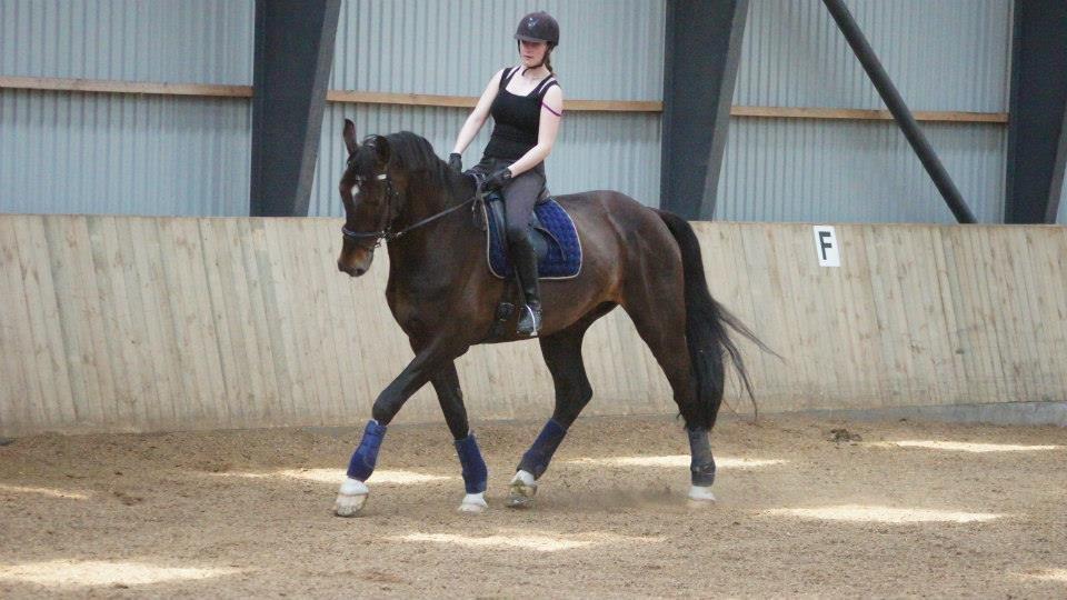 [NBP] - Dressurkursus ved Margit Ørum billede 1