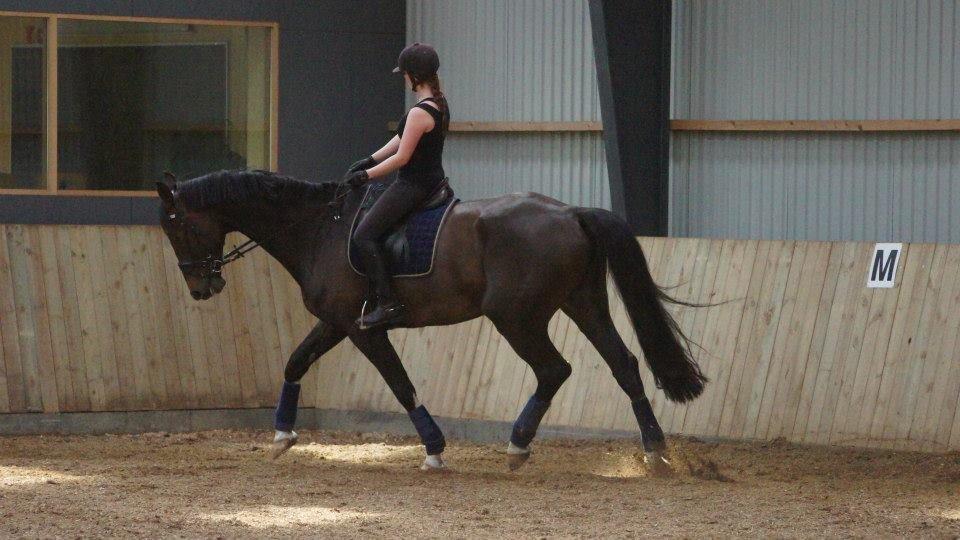 [NBP] - Dressurkursus ved Margit Ørum billede 10