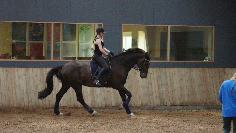 [NBP] - Dressurkursus ved Margit Ørum billede 11