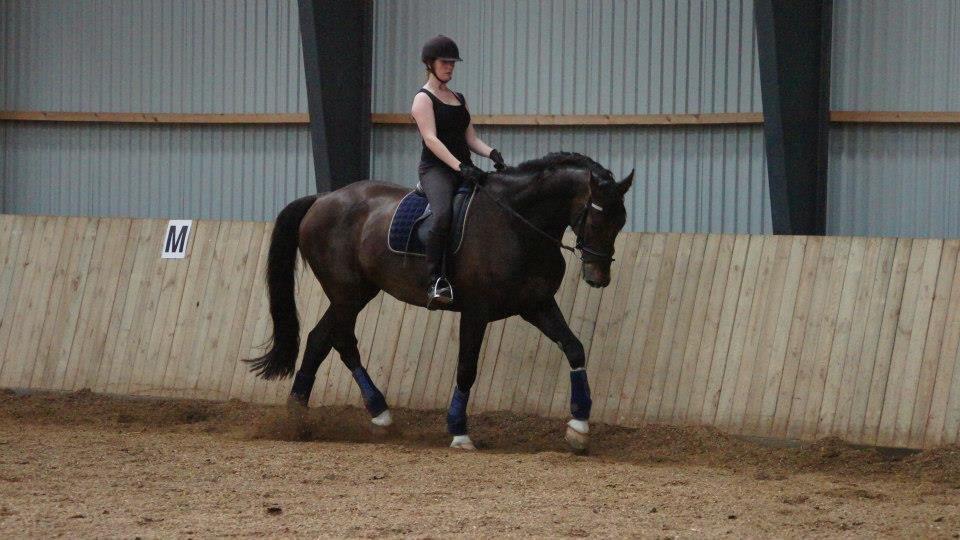 [NBP] - Dressurkursus ved Margit Ørum billede 12