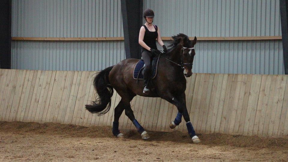 [NBP] - Dressurkursus ved Margit Ørum billede 13