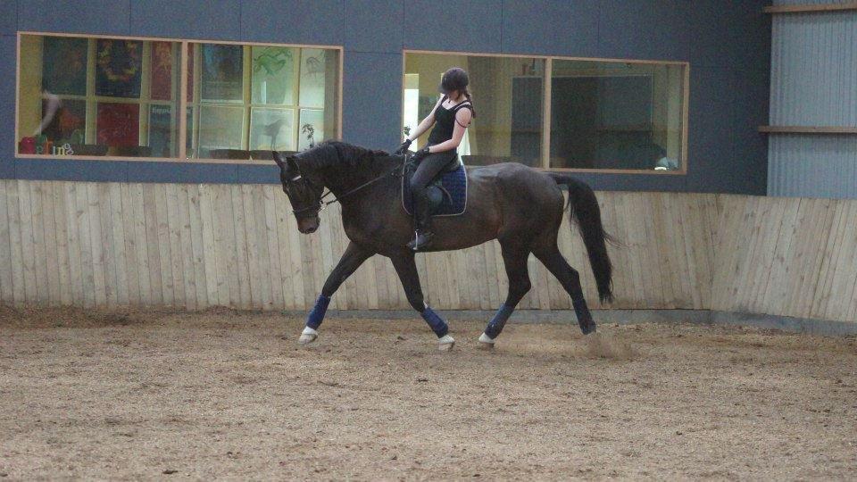 [NBP] - Dressurkursus ved Margit Ørum billede 15