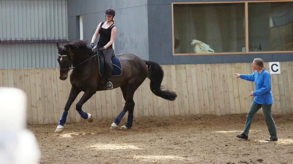 [NBP] - Dressurkursus ved Margit Ørum billede 16