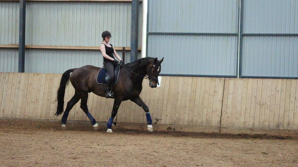 [NBP] - Dressurkursus ved Margit Ørum billede 17