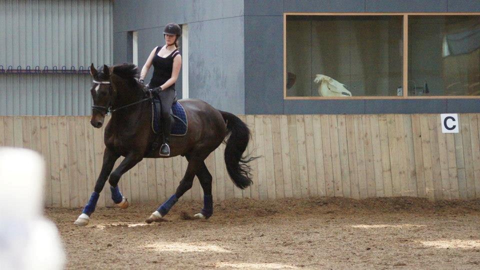 [NBP] - Dressurkursus ved Margit Ørum billede 18