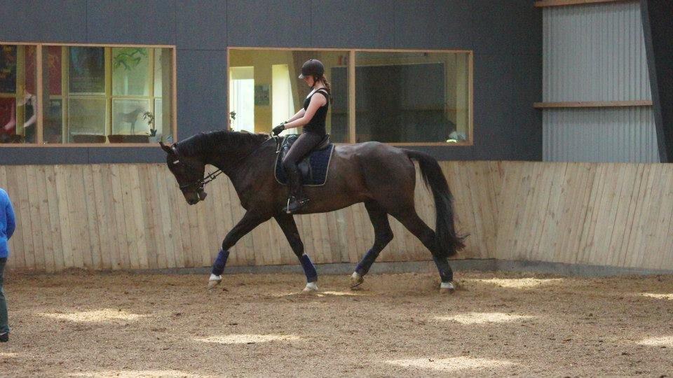 [NBP] - Dressurkursus ved Margit Ørum billede 19