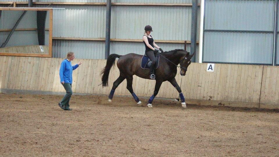 [NBP] - Dressurkursus ved Margit Ørum billede 20