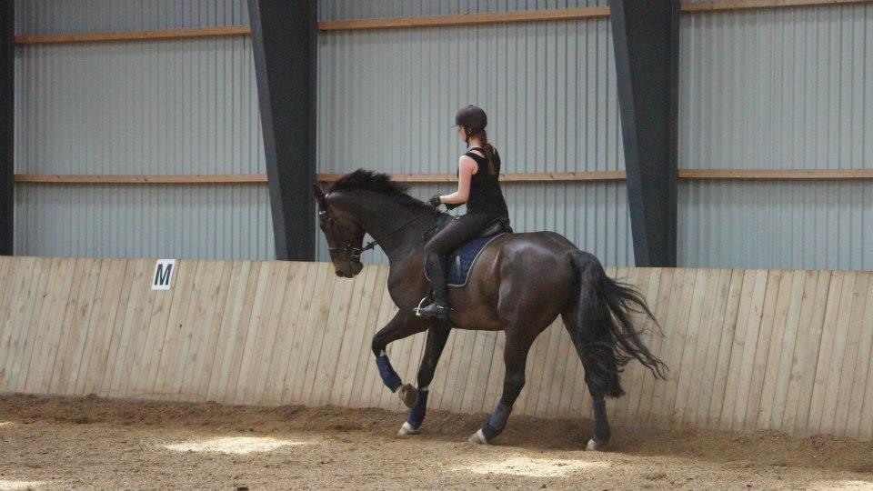 [NBP] - Dressurkursus ved Margit Ørum billede 21