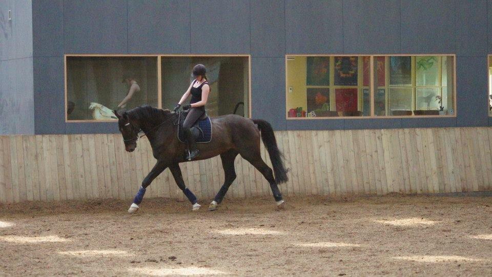 [NBP] - Dressurkursus ved Margit Ørum billede 22