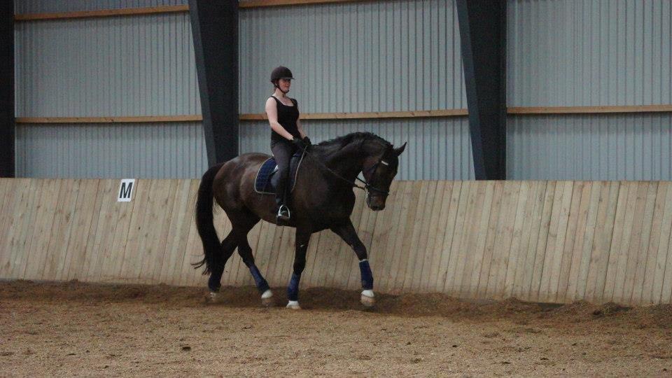 [NBP] - Dressurkursus ved Margit Ørum billede 23