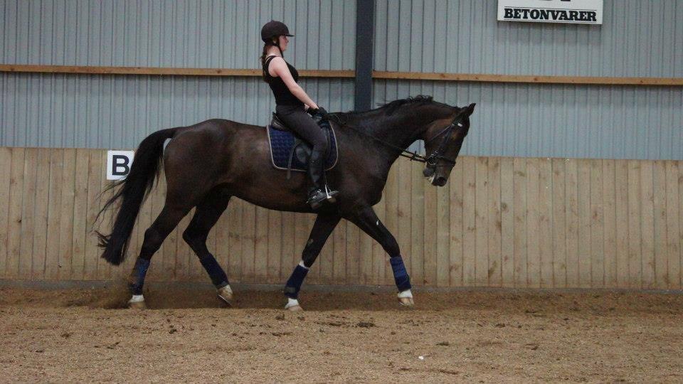 [NBP] - Dressurkursus ved Margit Ørum billede 26