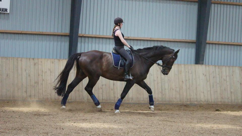 [NBP] - Dressurkursus ved Margit Ørum billede 27