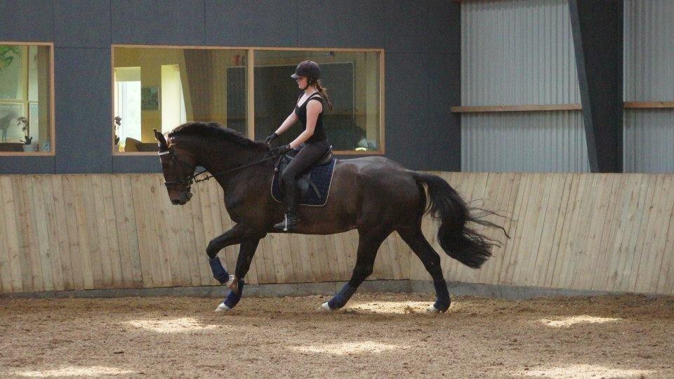 [NBP] - Dressurkursus ved Margit Ørum billede 29