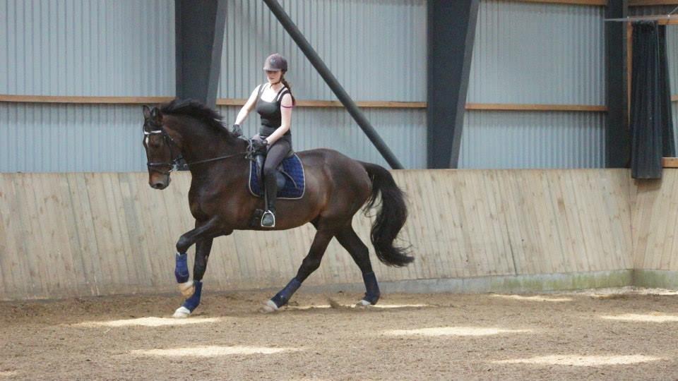 [NBP] - Dressurkursus ved Margit Ørum billede 31