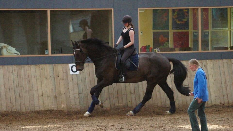 [NBP] - Dressurkursus ved Margit Ørum billede 32