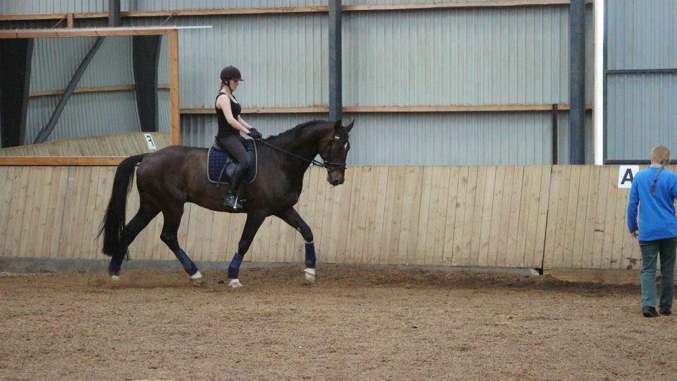 [NBP] - Dressurkursus ved Margit Ørum billede 33