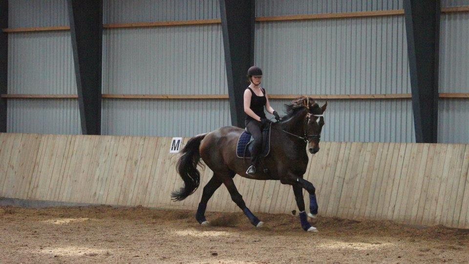 [NBP] - Dressurkursus ved Margit Ørum billede 34