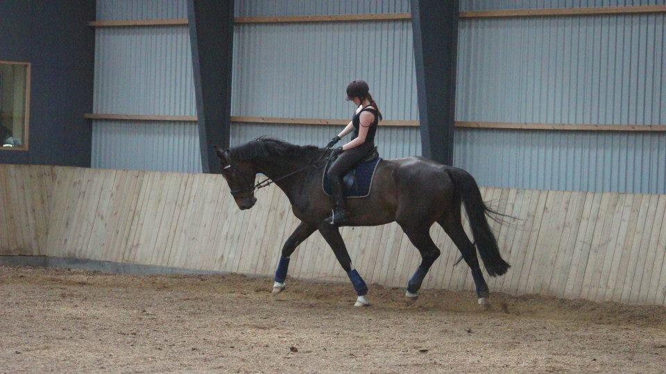 [NBP] - Dressurkursus ved Margit Ørum billede 35