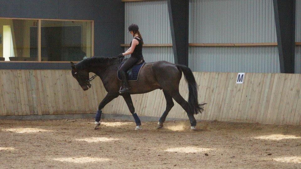 [NBP] - Dressurkursus ved Margit Ørum billede 36