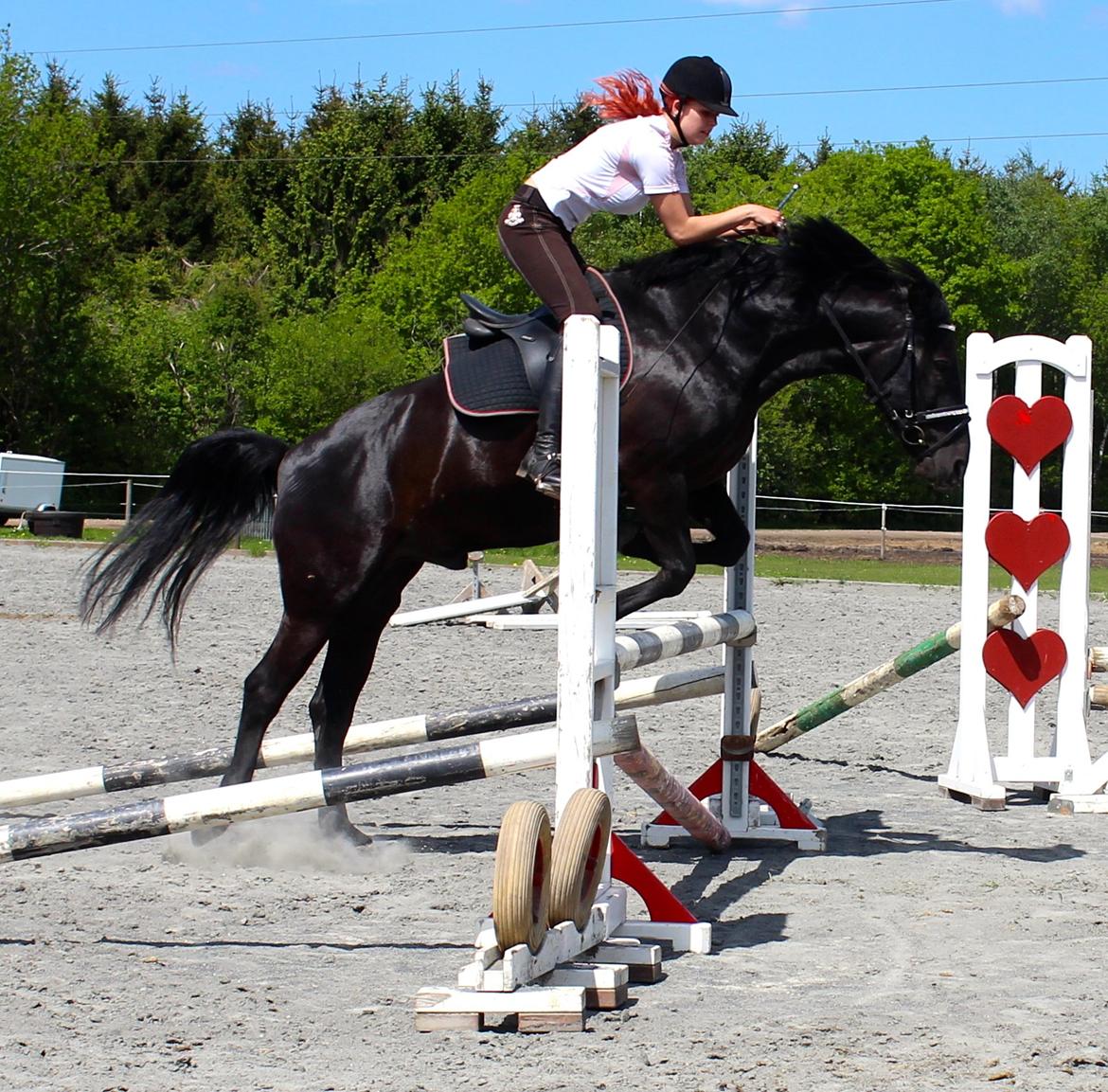 Dressur hesten bliver til spring hest<3 billede 14