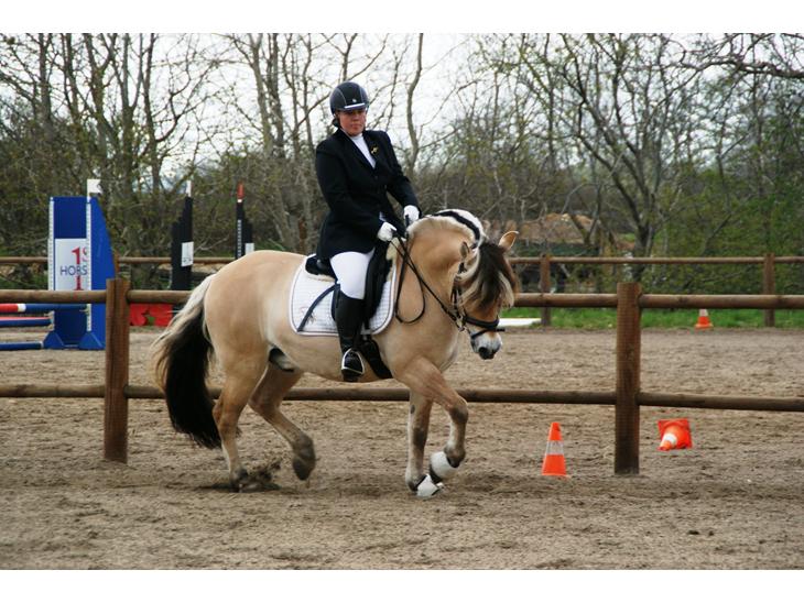 {{currentPhoto.altText}} billede {{currentPhoto.number}}