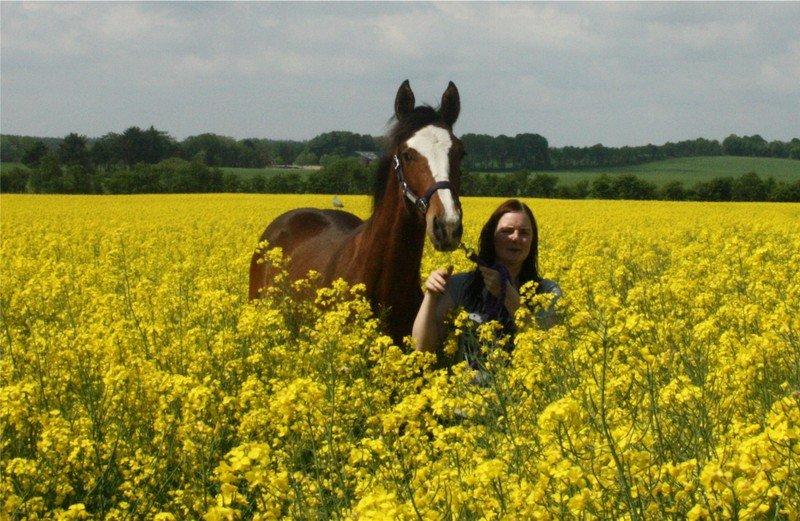 Gammelgaards La Titanic billede 12