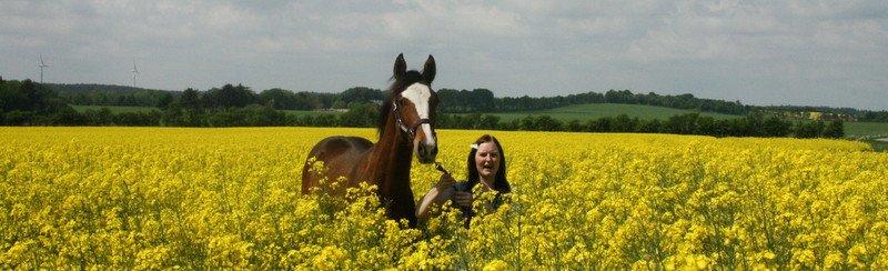 Gammelgaards La Titanic billede 13