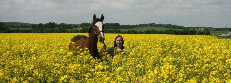 Gammelgaards La Titanic billede 14