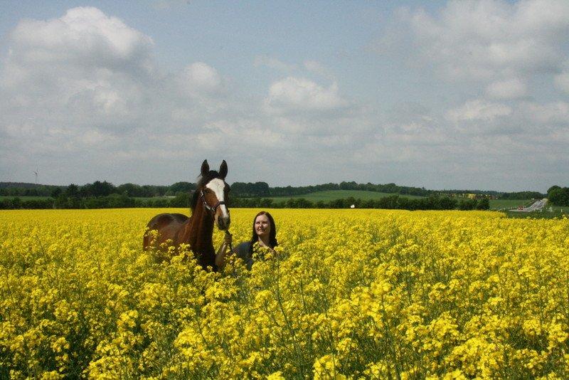 Gammelgaards La Titanic billede 15