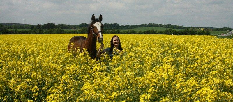 Gammelgaards La Titanic billede 16