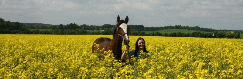 Gammelgaards La Titanic billede 17