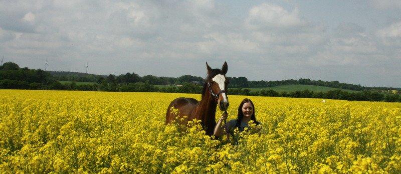 Gammelgaards La Titanic billede 18