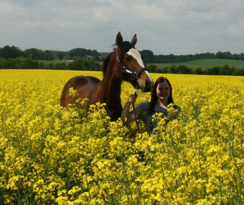 Gammelgaards La Titanic billede 19