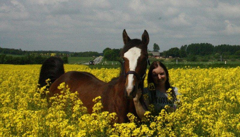 Gammelgaards La Titanic billede 21