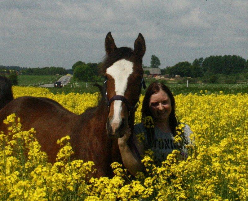 Gammelgaards La Titanic billede 22