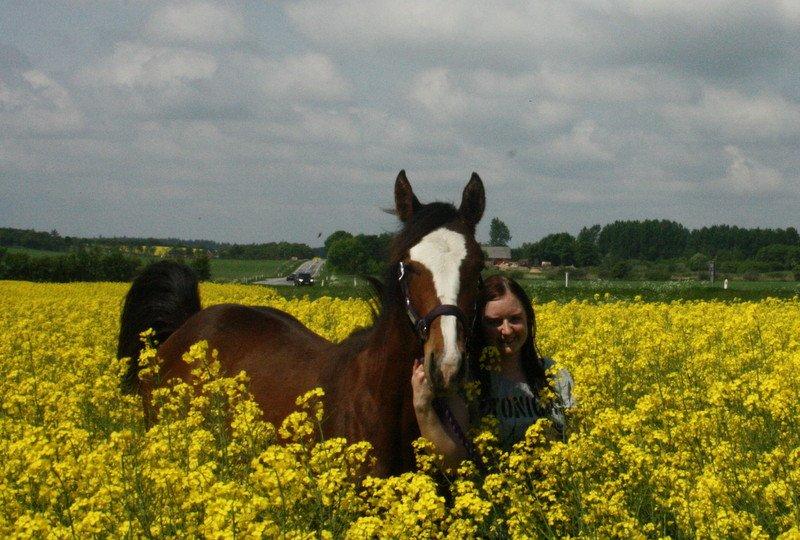 Gammelgaards La Titanic billede 23